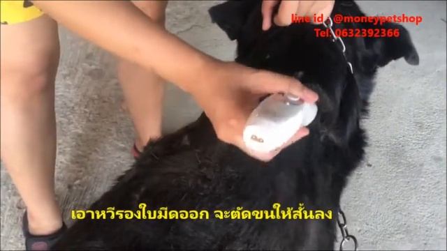 บัตตาเลี่ยน KUKU บัตตาเลี่ยนตัดขนสุนัข ปัตตาเลี่ยนสุนัข แบตเตอเลี่ยนตัดขนหมา ตัดขนหมา смотреть онлайн