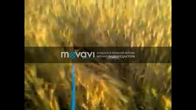 Джинка - Пружинка (прогулки и путешествия) !!! смотреть онлайн