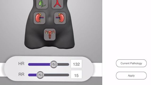Introducing BodyWorks Eve Point of Care Ultrasound Simulation смотреть онлайн