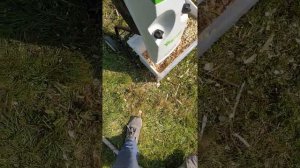 Viking GE 105 alla presa con legno di cacho