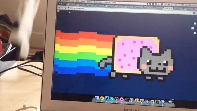 Cat Roulette - WebSocket controller laser to help humans play with cats смотреть онлайн