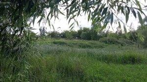 Музыка, дождь и гроза – красивый релакс для сна и снятия усталости