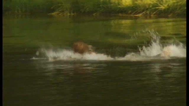 "ПОТОМОК"- Русский БОЕВИК Про Криминальную РОССИЮ в 90-х! Для Истинных Ценителей Мужского Кино! смотреть онлайн