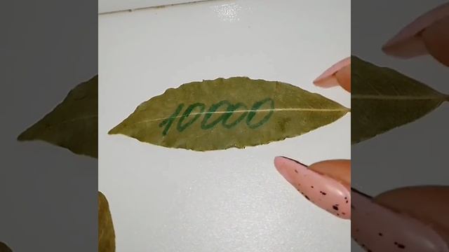 Магия лаврового листа привлекаем деньги в нужном количестве #shorts смотреть онлайн