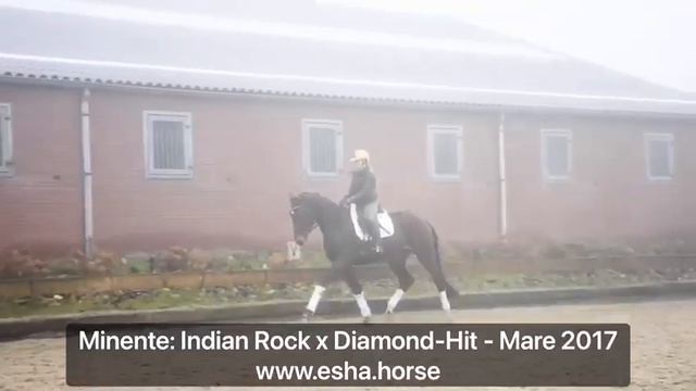 Minente: Indian rock x Diamond-Hit смотреть онлайн