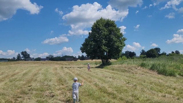 Собираю ШАЛФЕЙ вдоль реки.Сушим ЗЕМЛЯНИКУ для Ароматного ЧАЯ! Целебные растения/ Лесные цветы смотреть онлайн