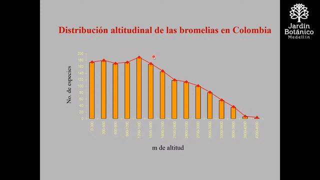 Semillas de Ciencia - Bromelias en Colombia смотреть онлайн