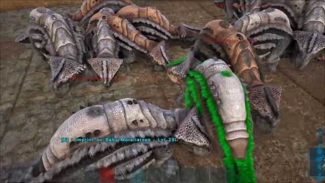MORELLATOPS MUTATIONS! STACKING COLOR MUTATIONS! Ark Survival Breeding смотреть онлайн