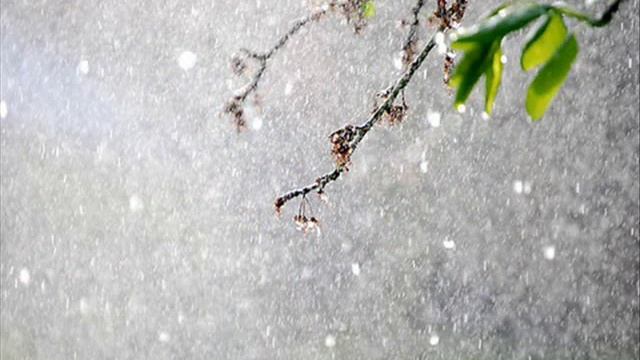 Львівський дощ смотреть онлайн