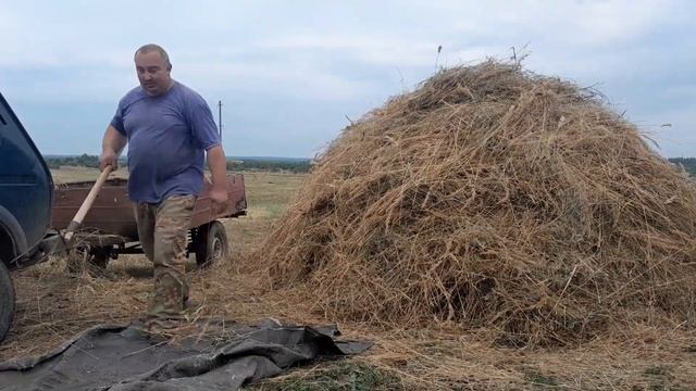 поздний сенокос , лето прошло , что успел реализовать за 3 месяца , не густо ( смотреть онлайн