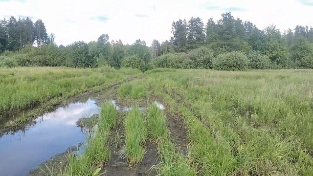 за грибами 2023 смотреть онлайн