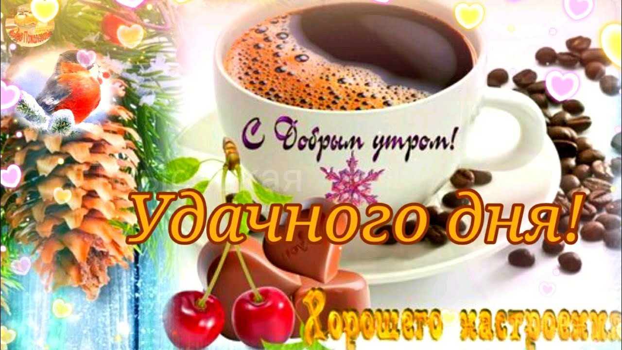 Приятных последних выходных в январе! Хорошего утра! Удачного дня! Музыкальное пожелание. смотреть онлайн