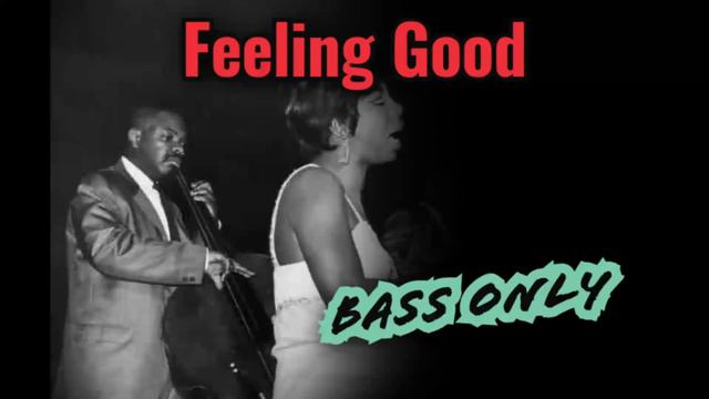 NINA SIMONE - FEELING GOOD | ONLY BASS #bass #blues смотреть онлайн