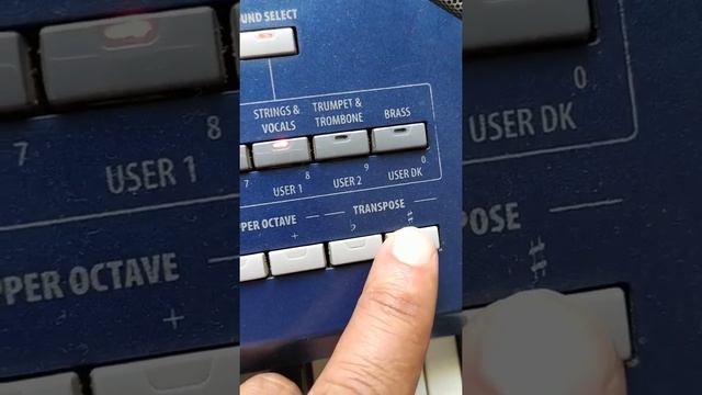 PA 800 Korg Mp3 port kullanımı смотреть онлайн