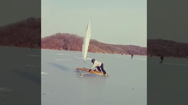 Буер