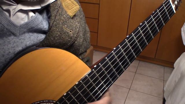 In the Nylon Valley - Looping nylon strings. смотреть онлайн