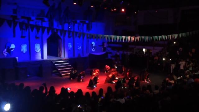Coreografía Harry Potter - Estela Murúa - Baile de Egresados Escuela Politécnica смотреть онлайн