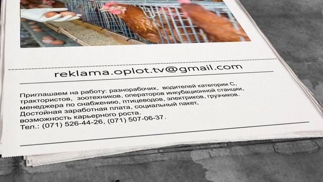 ПТИЦЕФАБРИКА ЗУГРЭС смотреть онлайн