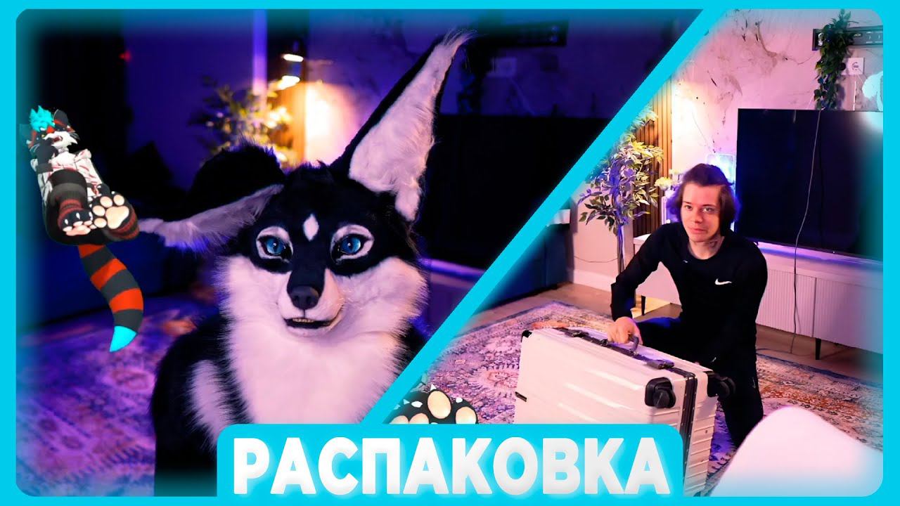 РАСПАКОВКА ФУРСЬЮТА ПУШИСТОГО ВОЛКА | Нарезка стрима смотреть онлайн