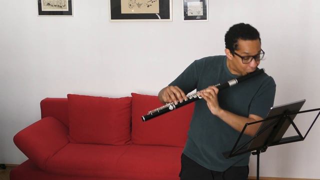 The Red Sofa Solo Flute Series #7 смотреть онлайн