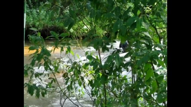 Гребной слалом в Борисове смотреть онлайн