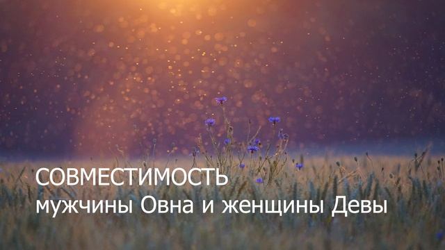 Совместимость мужчины Овна и женщины Девы смотреть онлайн