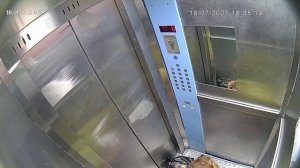 Леди писает в лифте