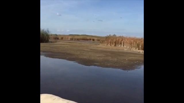 Испытание болотохода 40 лошадей смотреть онлайн