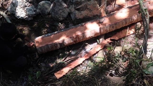 Chainsaw The Coconut Tree | Filipino Way Of CHAINSAW | Farming In The Philippines смотреть онлайн