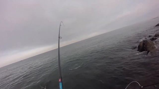 Ловля морского леща на морского живого краба смотреть онлайн