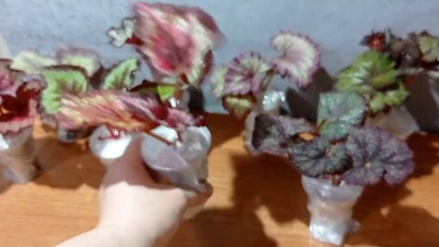 Распаковка 24.05.2023 смотреть онлайн