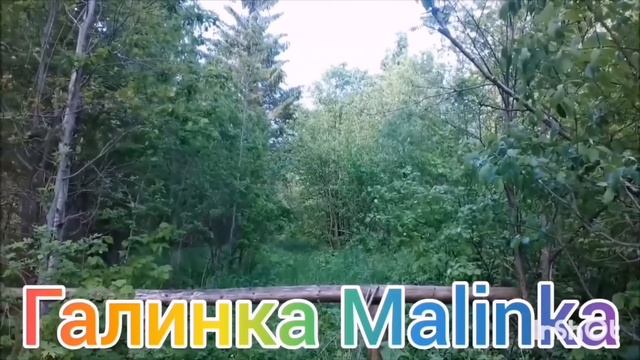 Ольга Уралочка Live /Срочно /Сбор на липосакцию /Обзор Влогов /Уралочка и Сафар /