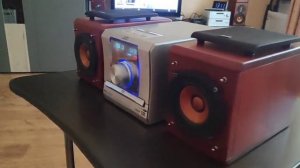 Jvc ex-d11 wood cone