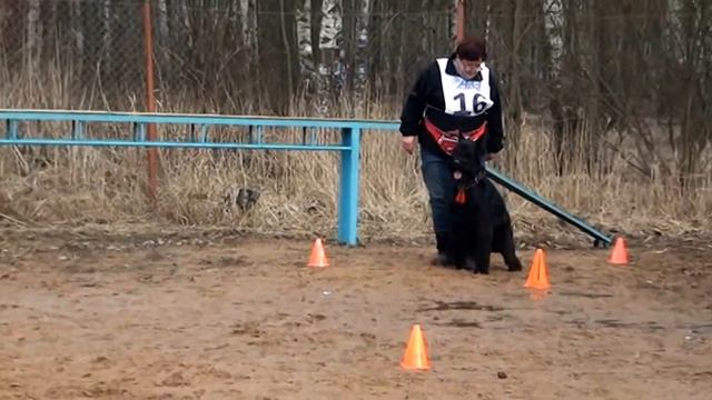 05.04.2015. "А нам 25!" Кузя смотреть онлайн