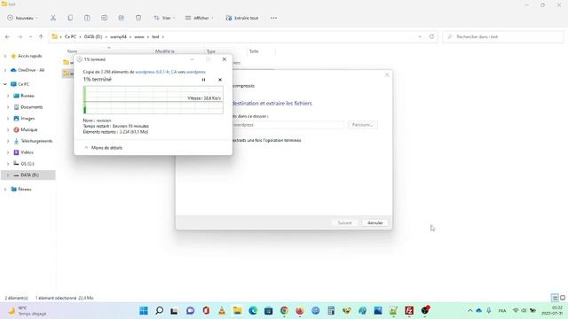 Installation Local de wordpress et Wamp(apache php mysql...). смотреть онлайн