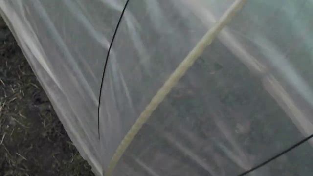 Как сделать парник для клубники. Багуны, туннели для клубники.