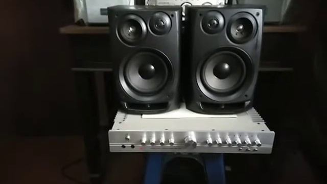 หลักร้อยฟังเพราะ (คู่ที่5) ลำโพง AIWA SX-NV30