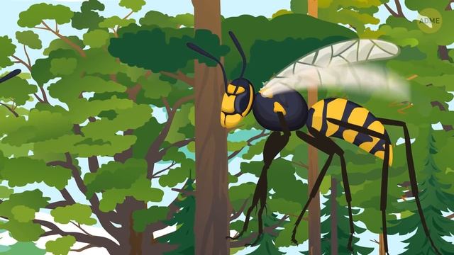 Что бы вы увидели, если бы смогли попасть в осиное гнездо смотреть онлайн