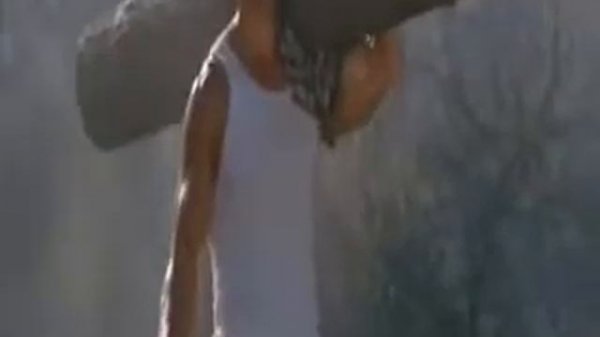 Арнольд по НОВОМУ 10 ЧАСОВ Arnold on a NEW в плече бревно