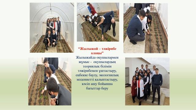 Бейнеу ауданы, Боранқұл ЖББМ смотреть онлайн