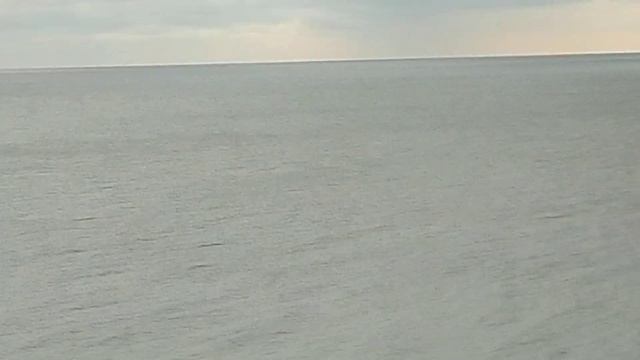 моя родина-Эстония. смотреть онлайн