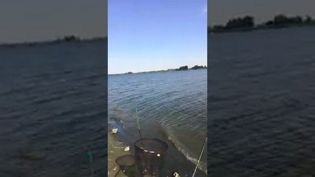 Рыбалка. Калач на Дону смотреть онлайн