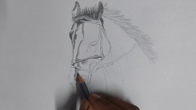 Horse sketch by @makmanishiart #creativeart #animalsketch #sketches смотреть онлайн