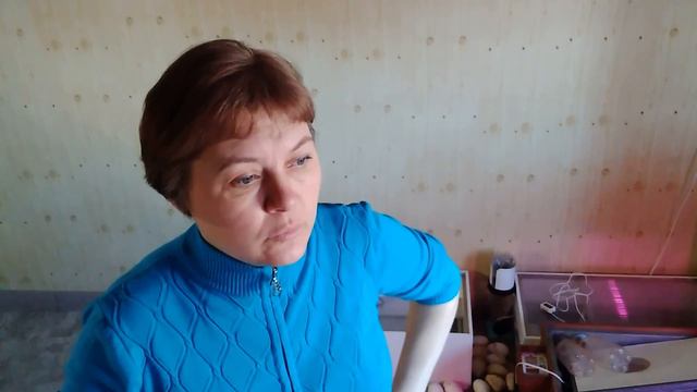 Уезжаю из дома Обшила детей к весне В Сибирь весна не спешит