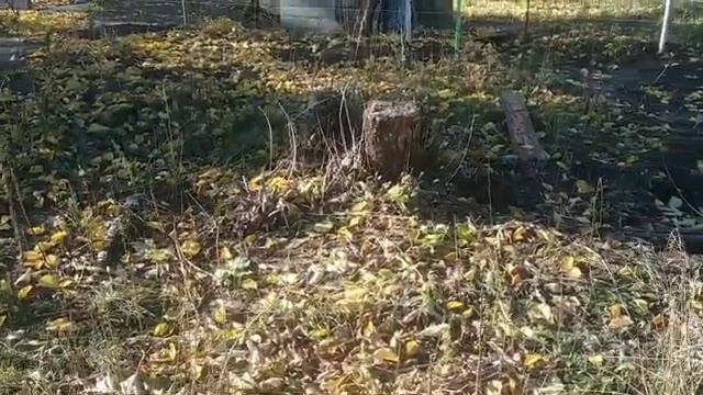 Строим дом без денег. Отчёт о проделанной работе. смотреть онлайн