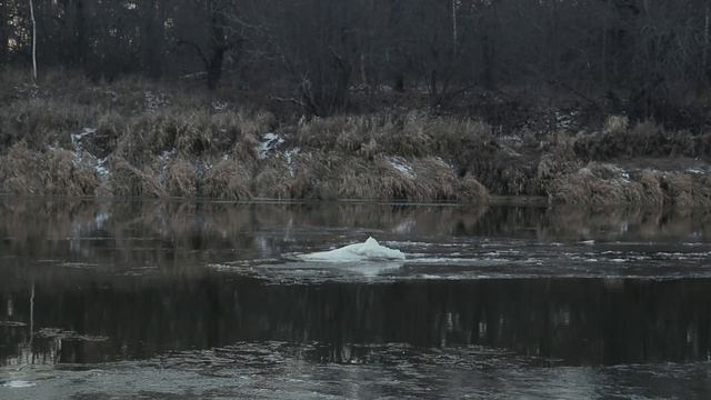 Canon eos 250D /Собинка / Переборская заводь /Вечерняя рыбалка. смотреть онлайн