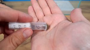 Муравьиный Лев превратился в куколку! Что будет дальше?