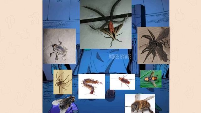 r/Ooer | images that should NOT exist смотреть онлайн
