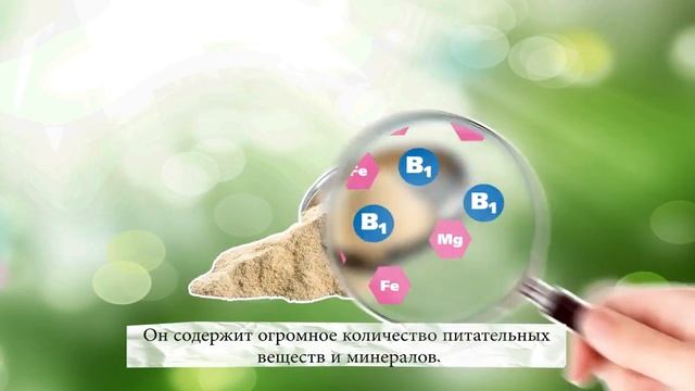 Belcando Беззерновой корм смотреть онлайн