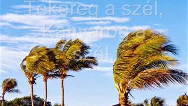 WEÖRES SÁNDOR KIS VERSEK A SZÉLRŐL смотреть онлайн